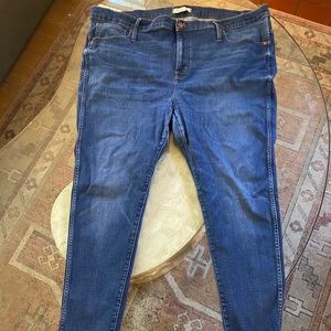 Madewell Plus Size Petite Jegging with Raw Hem 36P